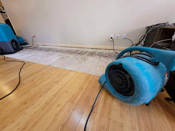 Professional Sewage Cleanup technician working in Cambridge, MD
